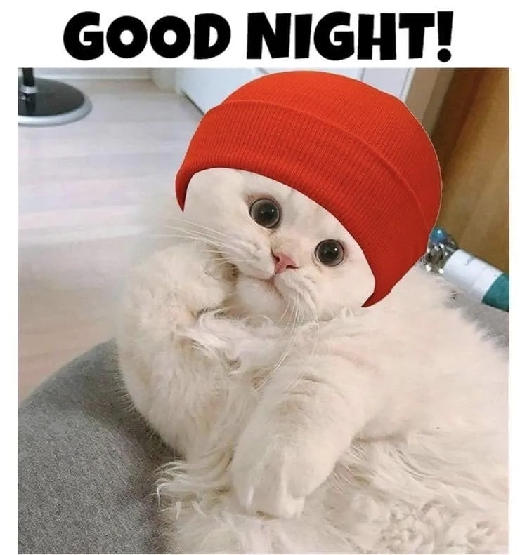 Chúc bạn ngủ ngon meme, giấc ngủ trọn vẹn và đầy mơ mộng