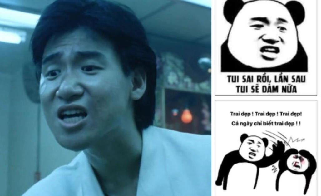 Ảnh meme gấu trúc khiến ai cũng bật cười