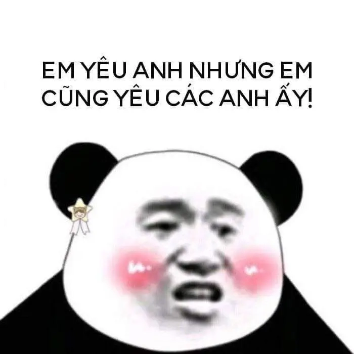 Hài hước meme gấu trúc xem là cười liền