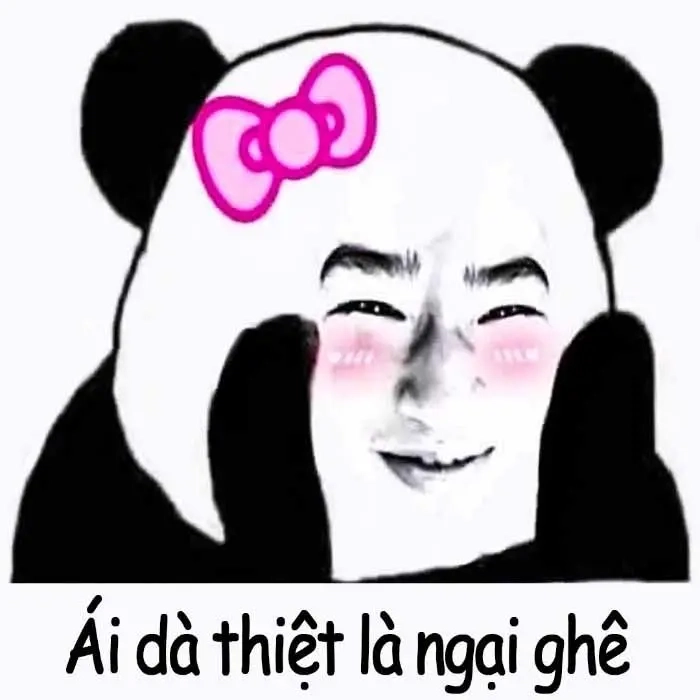 Meme gấu trúc hài không xem là tiếc liền
