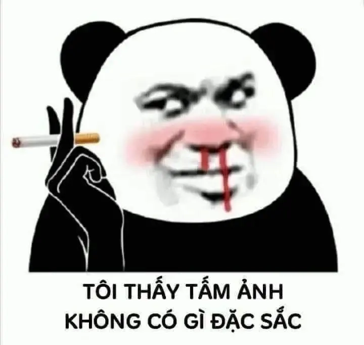 Hình ảnh meme gấu trúc đang được săn lùng