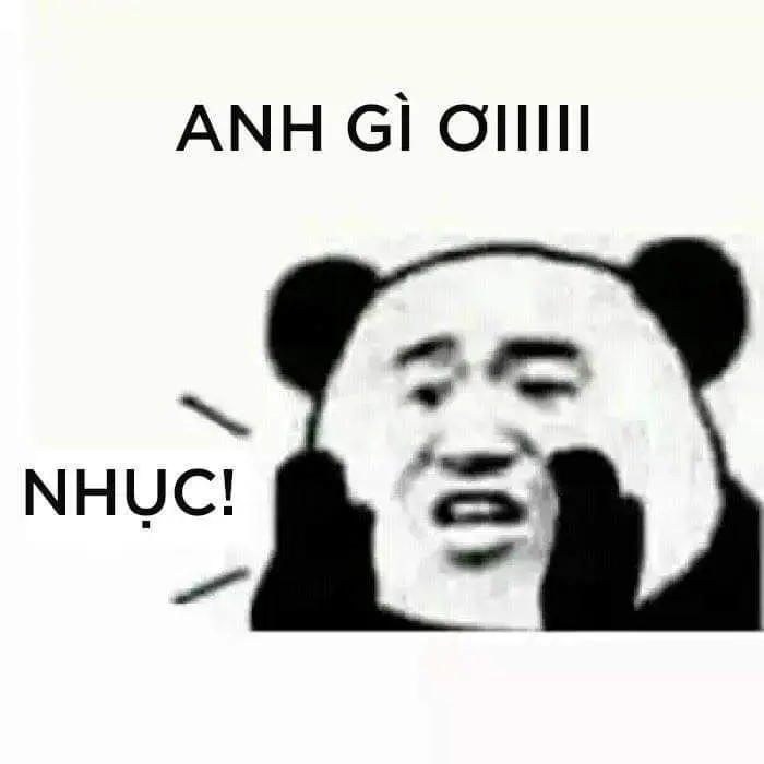 Meme gấu trúc hài hước khiến mạng xã hội dậy sóng