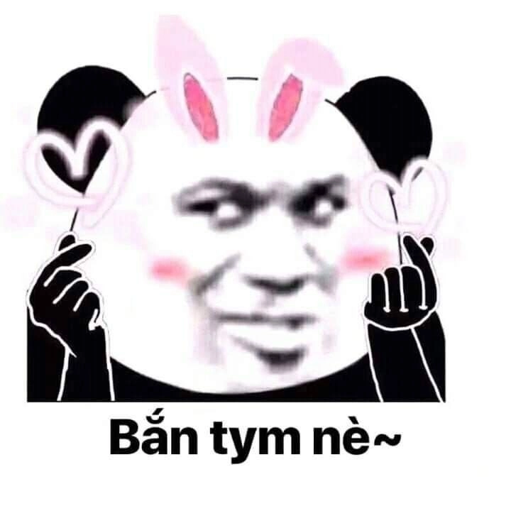 Ảnh meme gấu trúc bựa khiến ai cũng thích