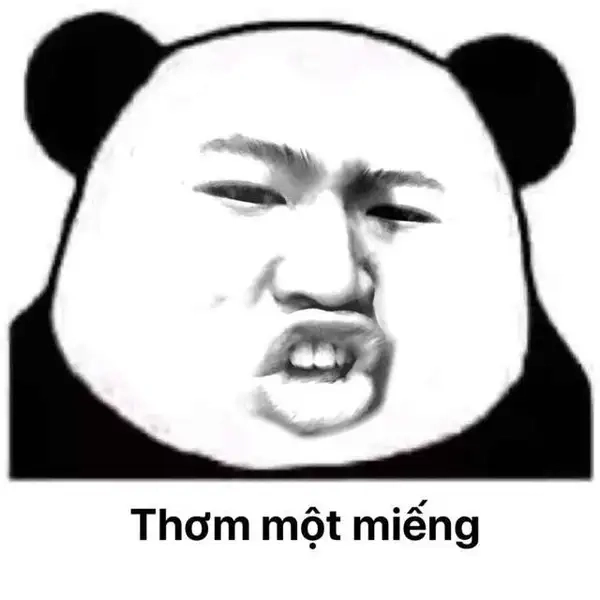Gấu trúc meme Trung Quốc hài không đối thủ
