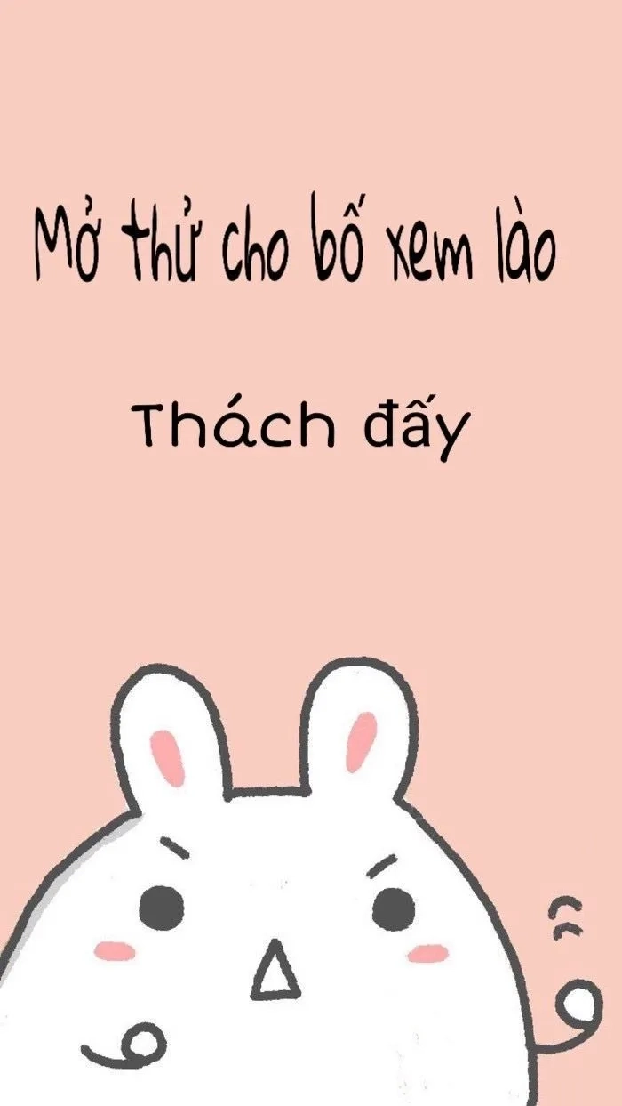 Hình nền hài meme cho màn hình thêm sinh động