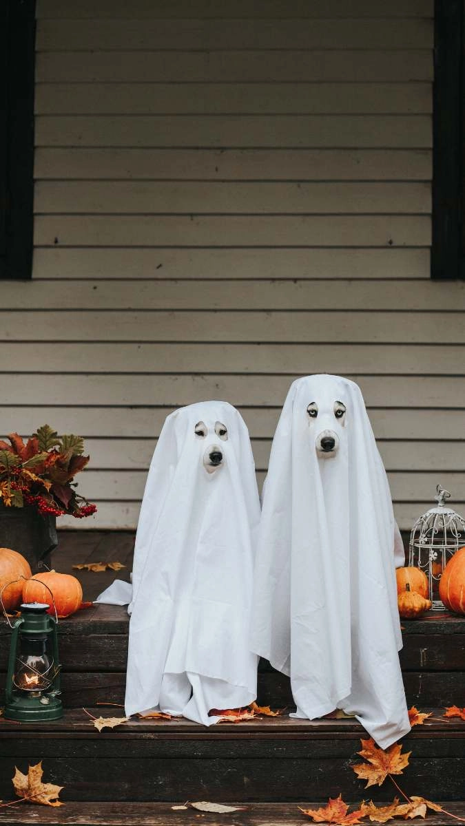 Hình nền điện thoại Halloween cute đáng yêu ma mị