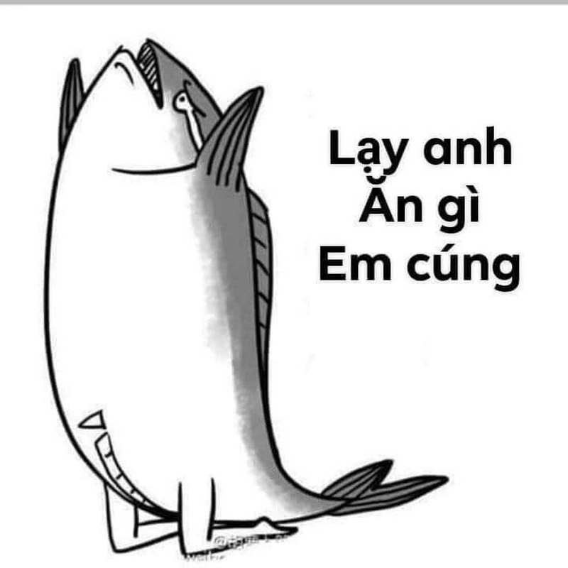 Meme lạy thể hiện đỉnh cao sự bất lực
