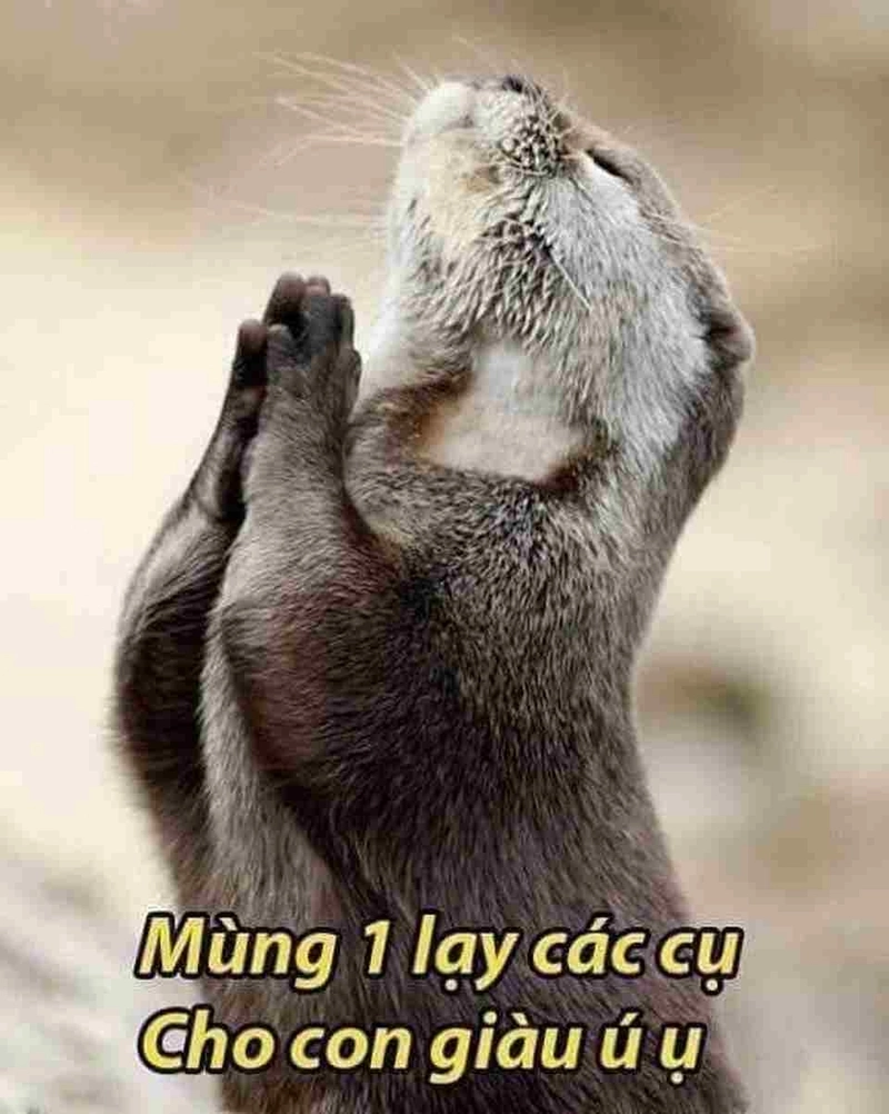 Tao lạy mày khi xem xong chỉ biết câm nín