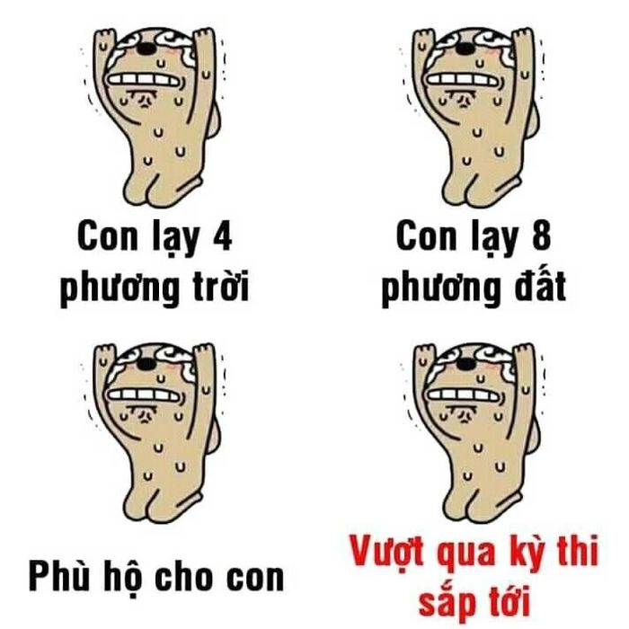 Ảnh quỳ thể hiện đỉnh cao của sự phục tùng