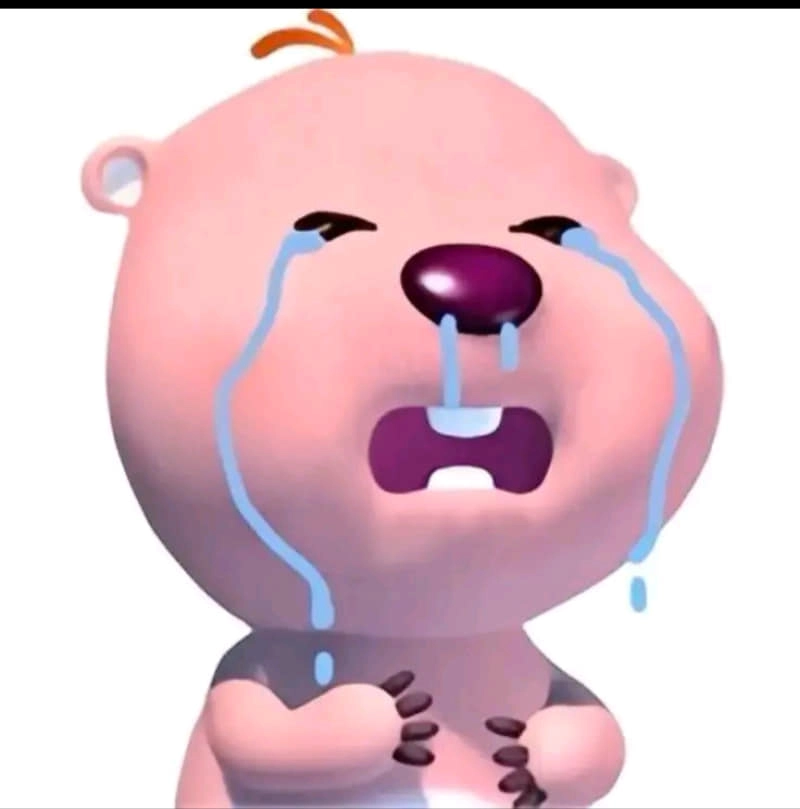 Meme loopy tim khi gấu hồng cũng biết rung động