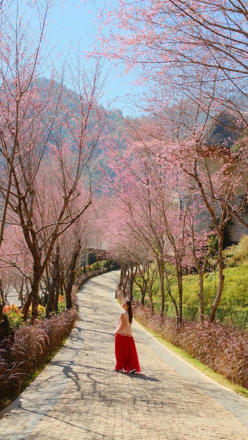 Hoa hậu Lương Thùy Linh Miss World ghi dấu ấn