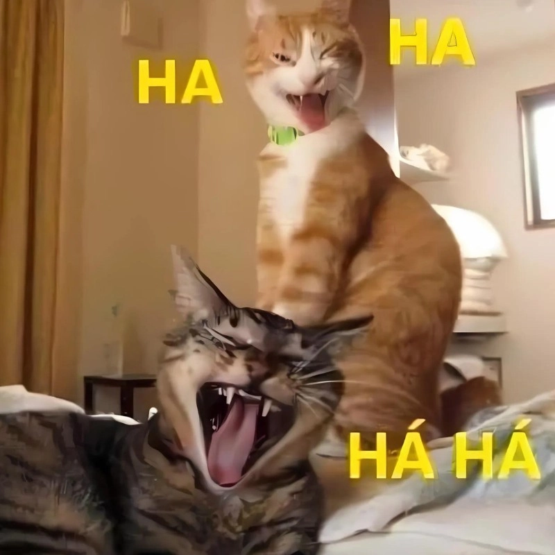 Ảnh con mèo cười meme nổi như cồn