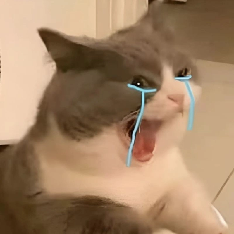Ảnh meme mèo khóc khiến bạn không cầm được nước mắt