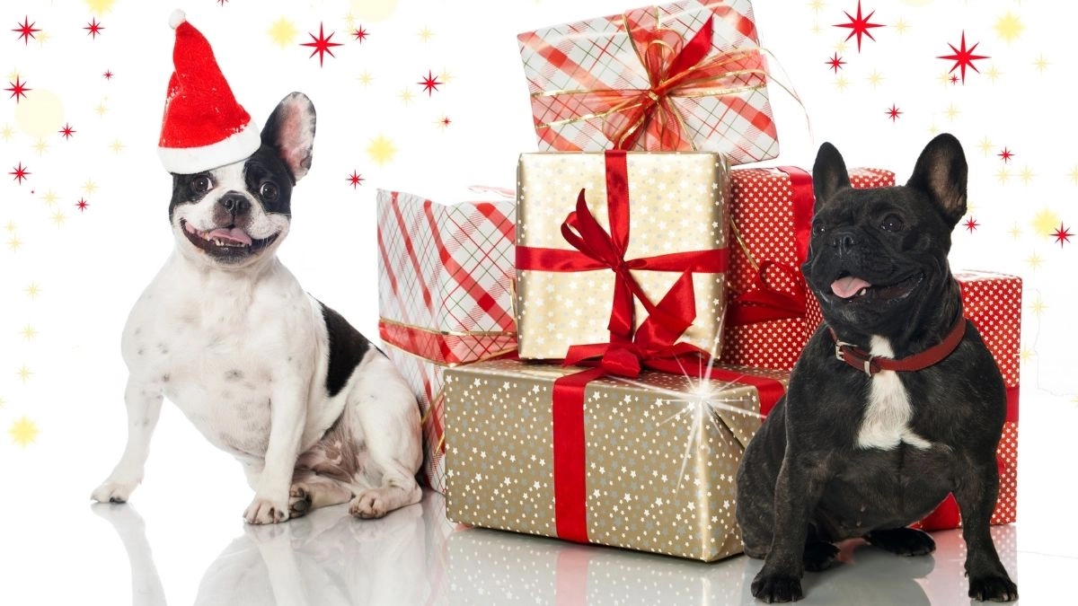 La meme Noel nổi bật với phong cách cực kỳ hài hước