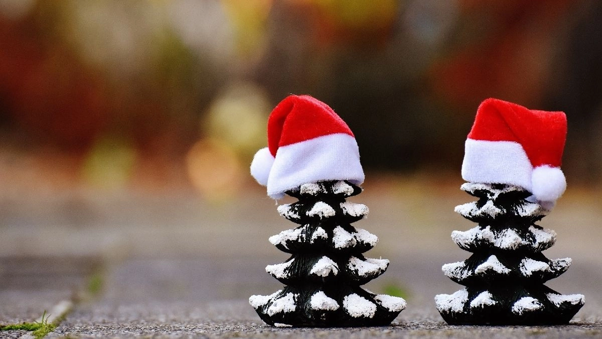 Hình nền meme Noel cực cool để trang trí cho mùa lễ hội