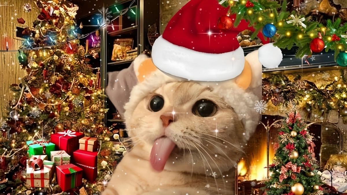 Hình mèo meme Noel dễ thương và ngộ nghĩnh cho mùa lễ hội này