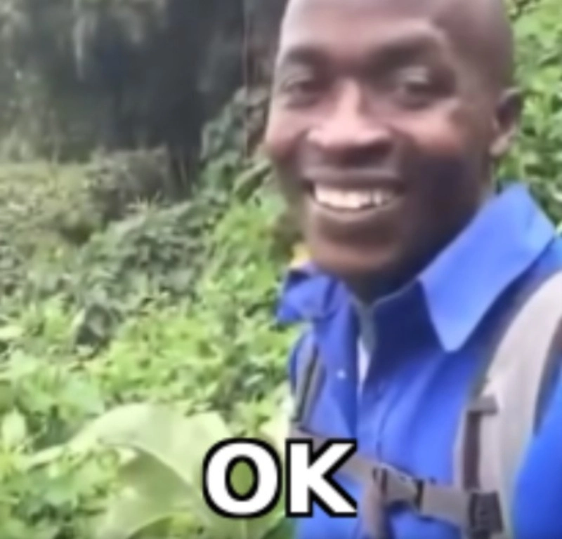 Meme it's ok giúp bạn thư giãn sau một ngày dài