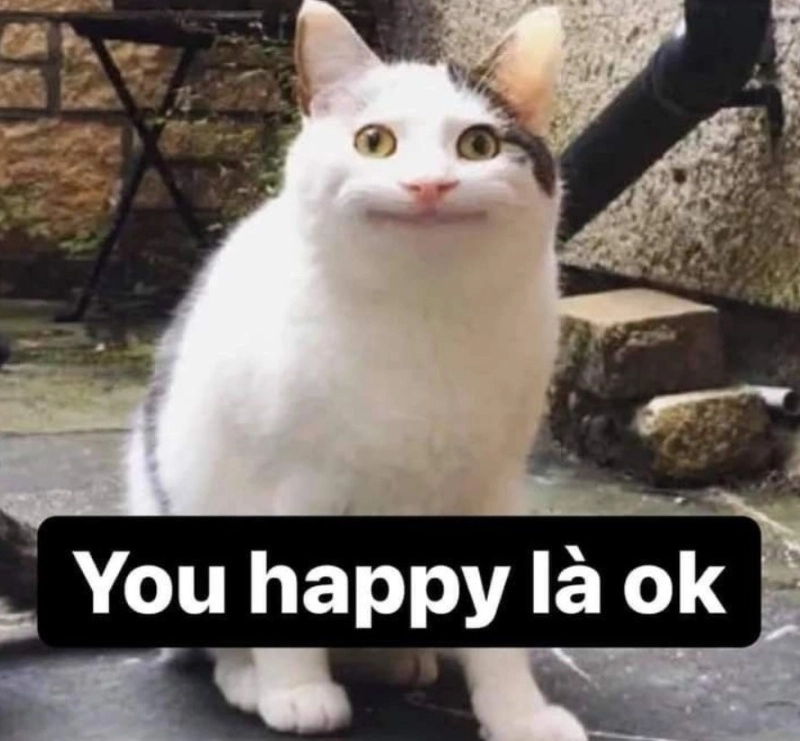 Meme ok boomer thể hiện sự khác biệt thế hệ
