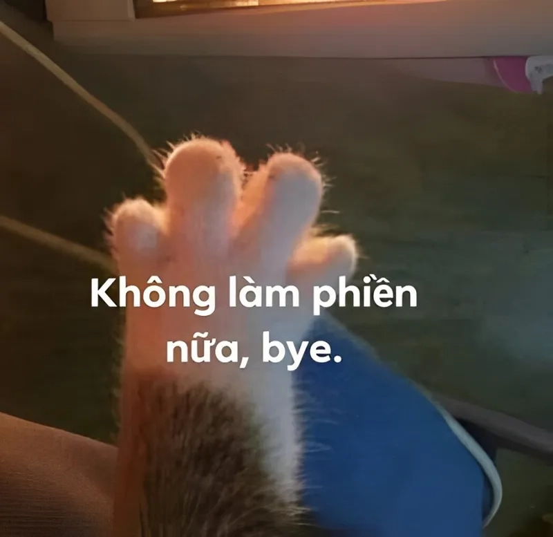 Chia tay meme cho khoảnh khắc muốn quên