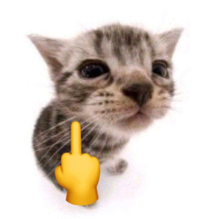 Meme mèo dơ ngón giữa ngầu hết nấc