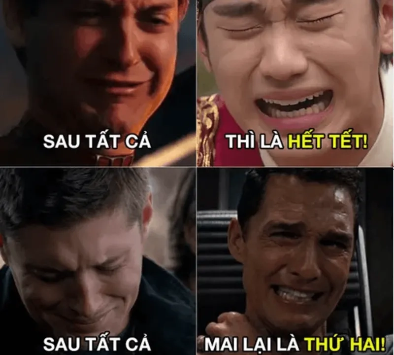 Ảnh meme Tết ngập tràn niềm vui