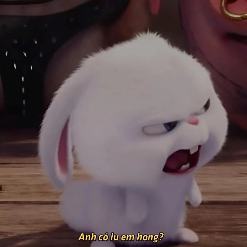 Meme yêu em ngắn gọn mà trúng tim đen