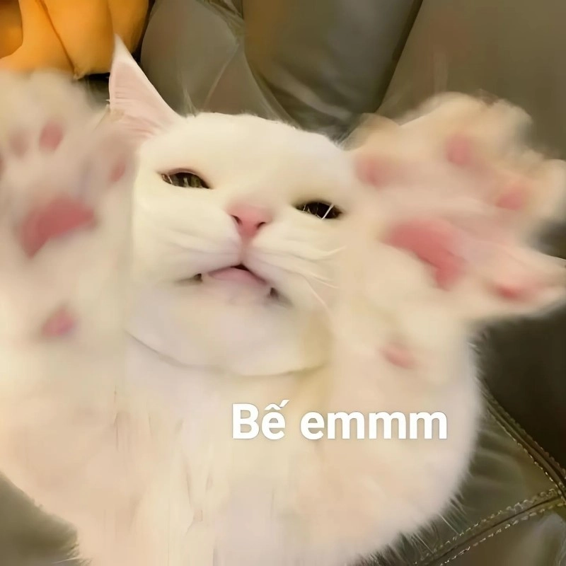 Meme yêu nhau qua ánh mắt biết nói