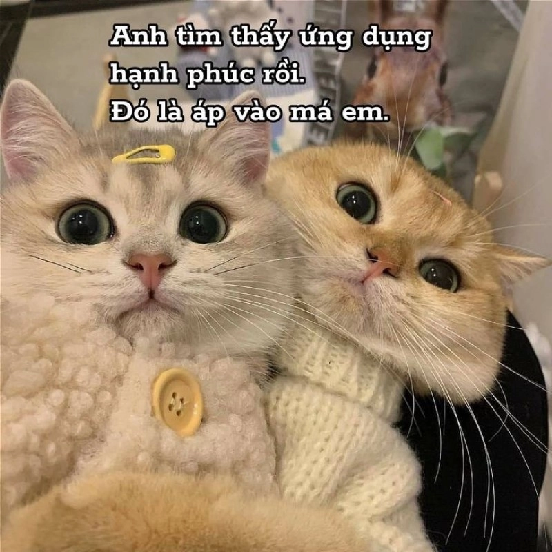 Meme tình yêu dễ thương ai xem cũng cười