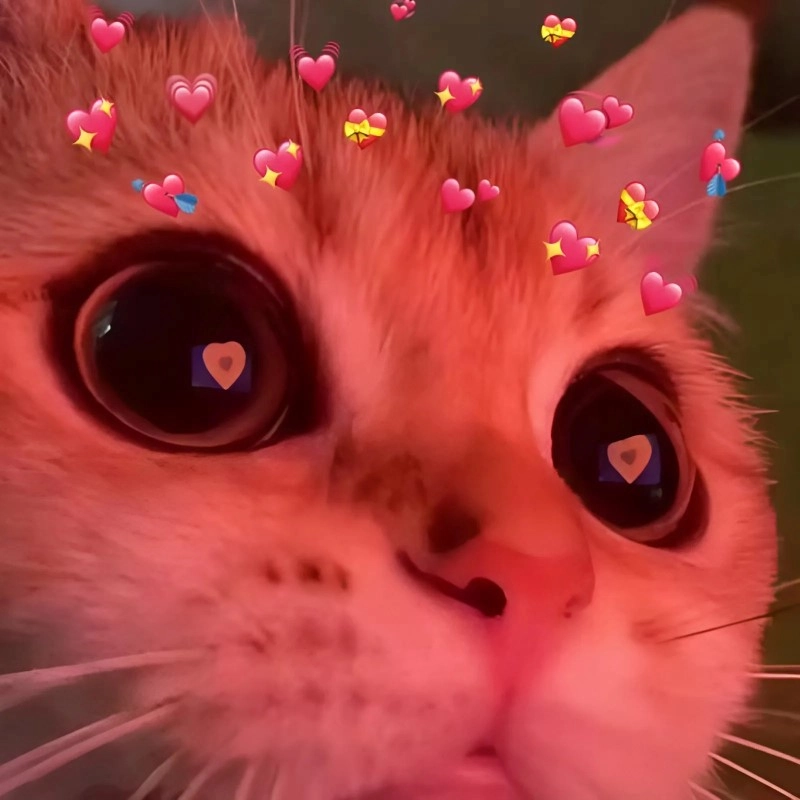Hình meme yêu dành cho những trái tim si tình
