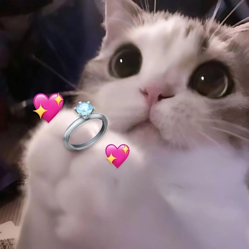 Meme hài về tình yêu vừa yêu vừa buồn cười