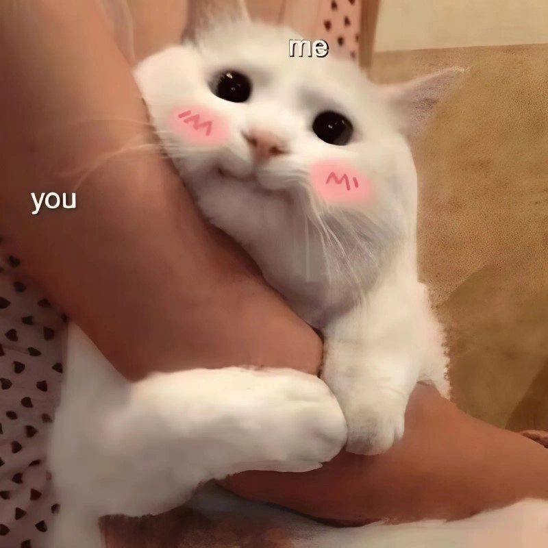 Meme si tình gửi thầm người chẳng hay biết