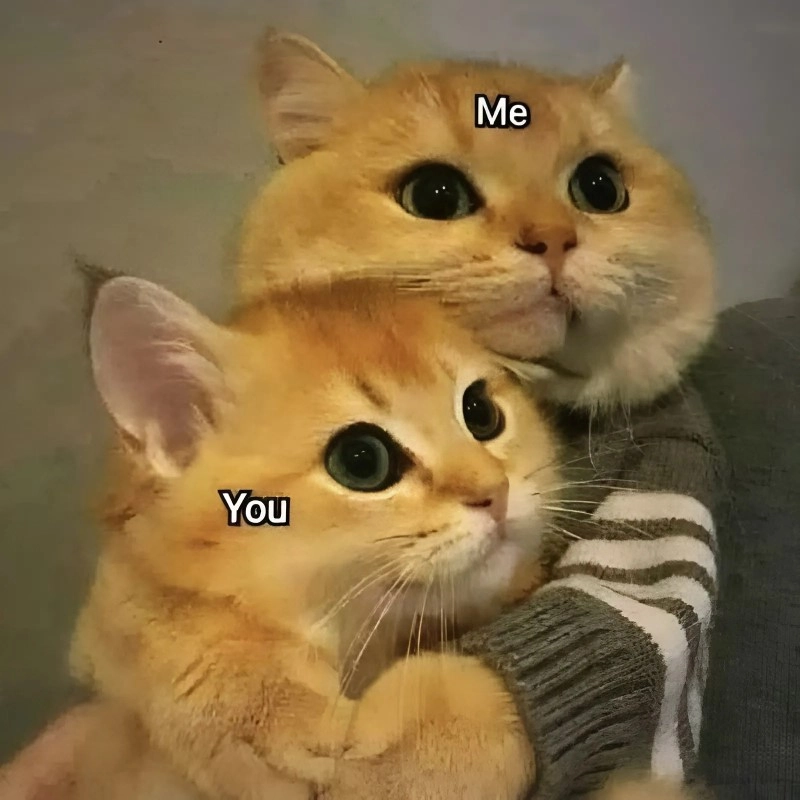 Meme tình yêu to lớn không nói vẫn hiểu
