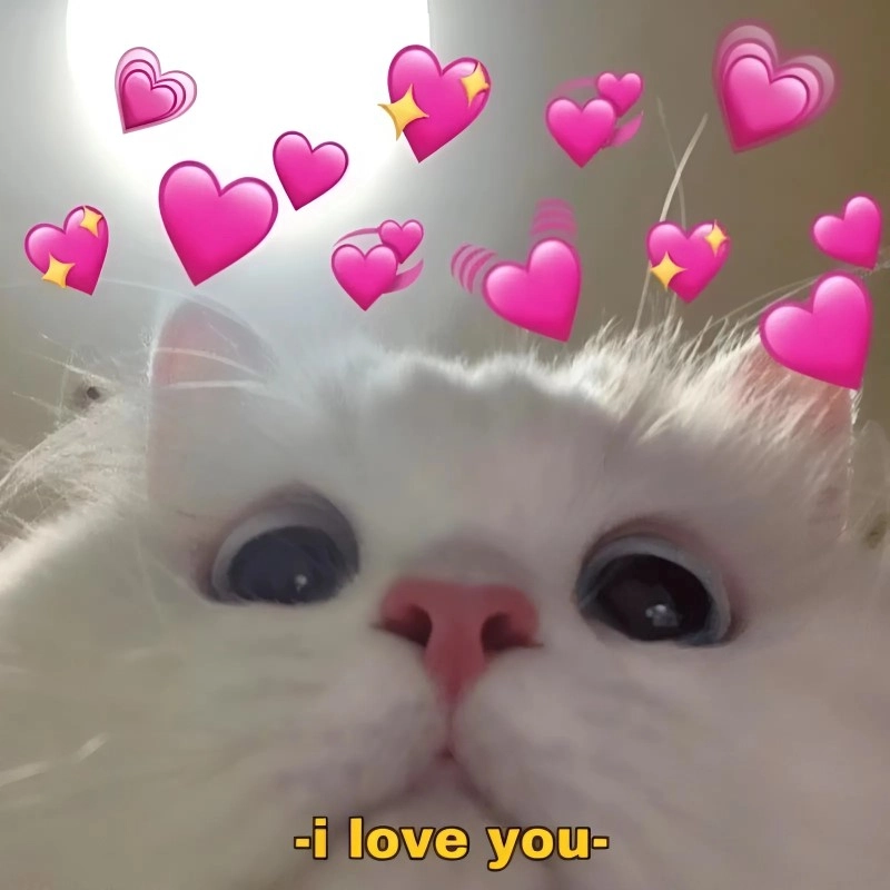Ảnh meme tình yêu cute chẳng cần lời nói