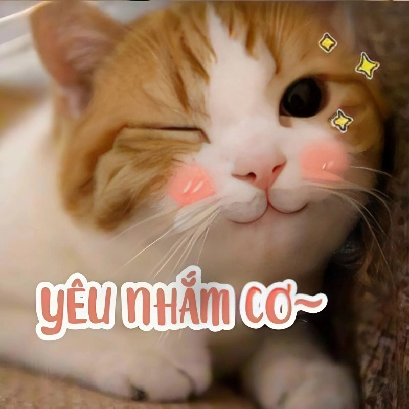 Hình ảnh meme tình yêu khiến lòng dịu lại