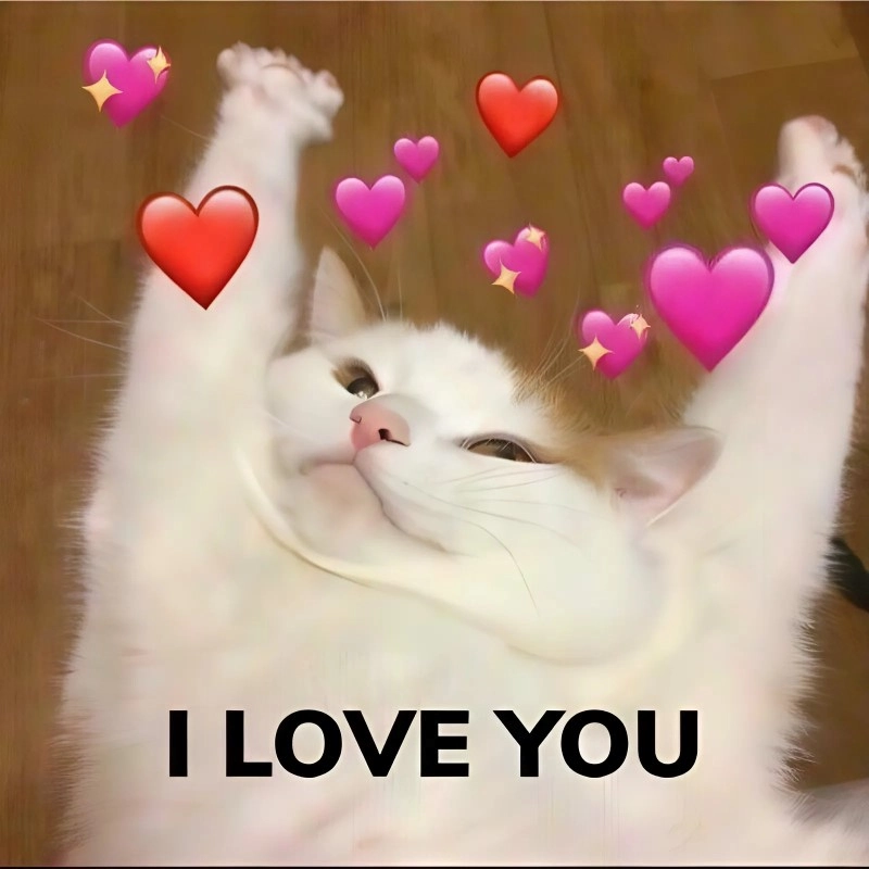Meme ngồi chờ tình yêu đến không hối hả