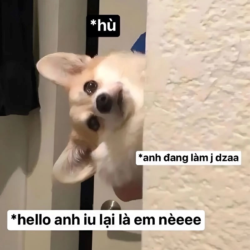 Ngồi yên tình yêu sẽ tới meme truyền cảm hứng