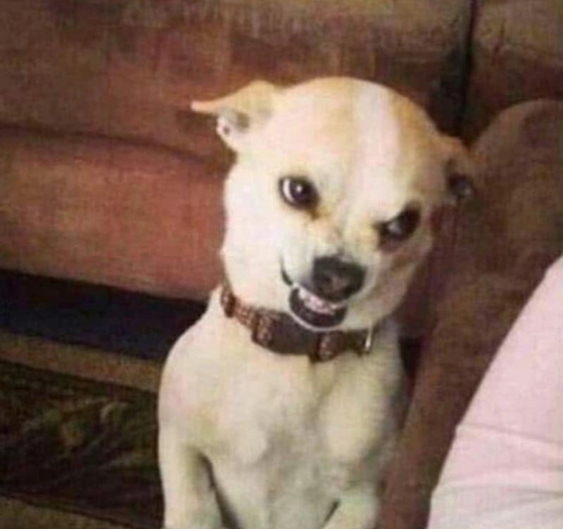 Giận meme chỉ nhìn thôi đã thấy áp lực