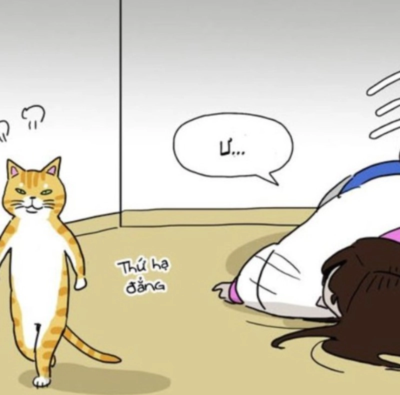 Ảnh meme tức giận khiến ai cũng sợ