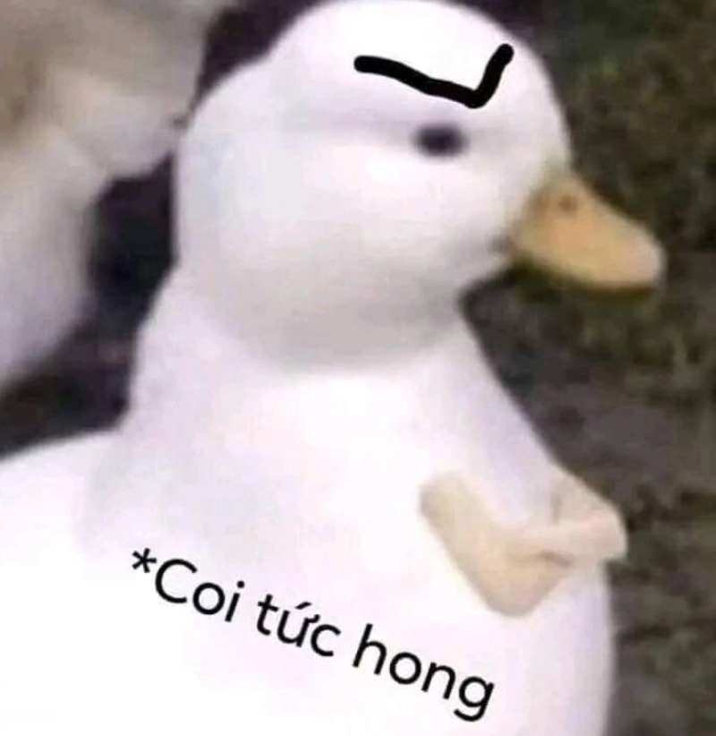 Meme mặt tức giận nhưng vẫn còn dễ thương