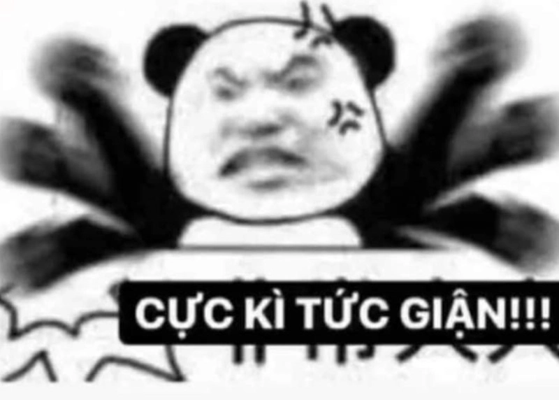 Meme tức giận dễ thương nhưng không dễ chịu