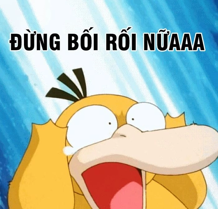 Meme con vịt siêu dễ thương cho ngày thêm tươi sáng