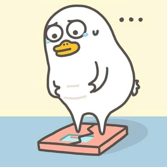 Duck vịt meme mang đến những giây phút thư giãn tuyệt vời