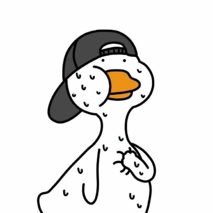 Meme vịt cute khiến bạn cảm thấy vui vẻ và đầy năng lượng