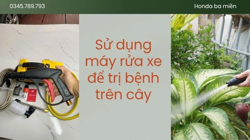 Lợi ích máy rửa xe mang lại cho vườn cây