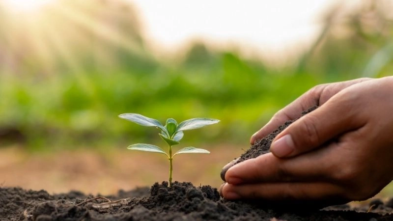 Xung đột lợi ích kinh tế - xã hội và thiếu nguồn lực dài hạn