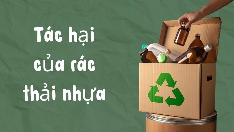 Rác thải nhựa giết chết động vật biển theo cách tàn nhẫn nhất