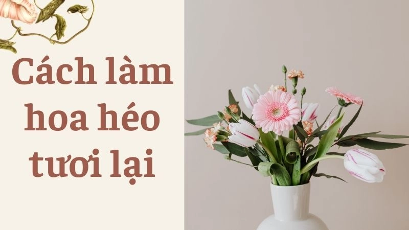 Cấp cứu hoa héo bằng cách ngâm trong nước ấm