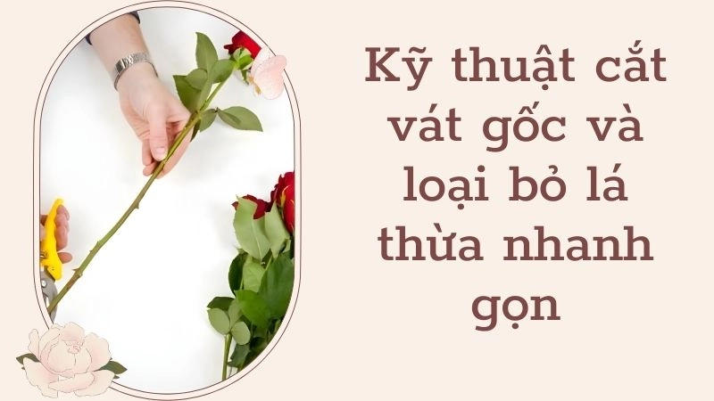 Kỹ thuật cắt vát gốc và loại bỏ lá thừa nhanh gọn