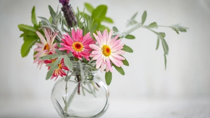 Bổ sung dưỡng chất tự nhiên giúp hoa tươi lâu hơn