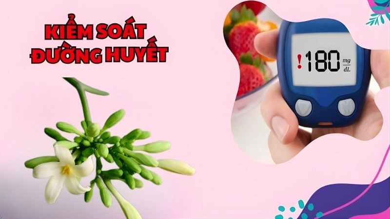 Kiểm soát đường huyết và hỗ trợ hệ tiêu hóa
